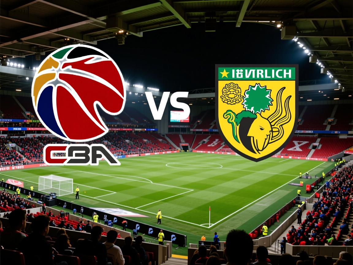 斯旺西将对阵诺里奇城，期待好结果